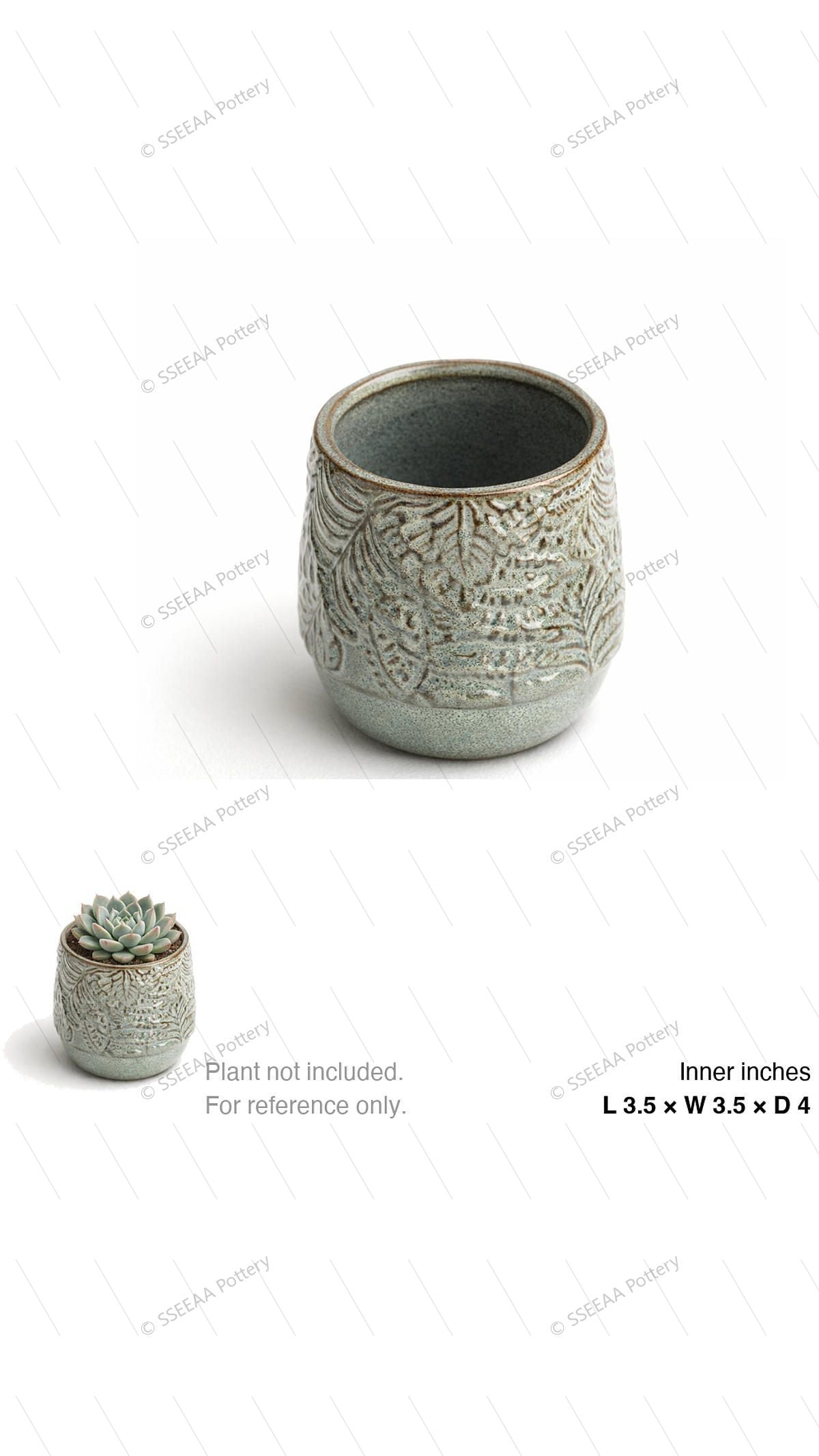 pottery_202601_plants_8 · L3.5 W3.5 H4