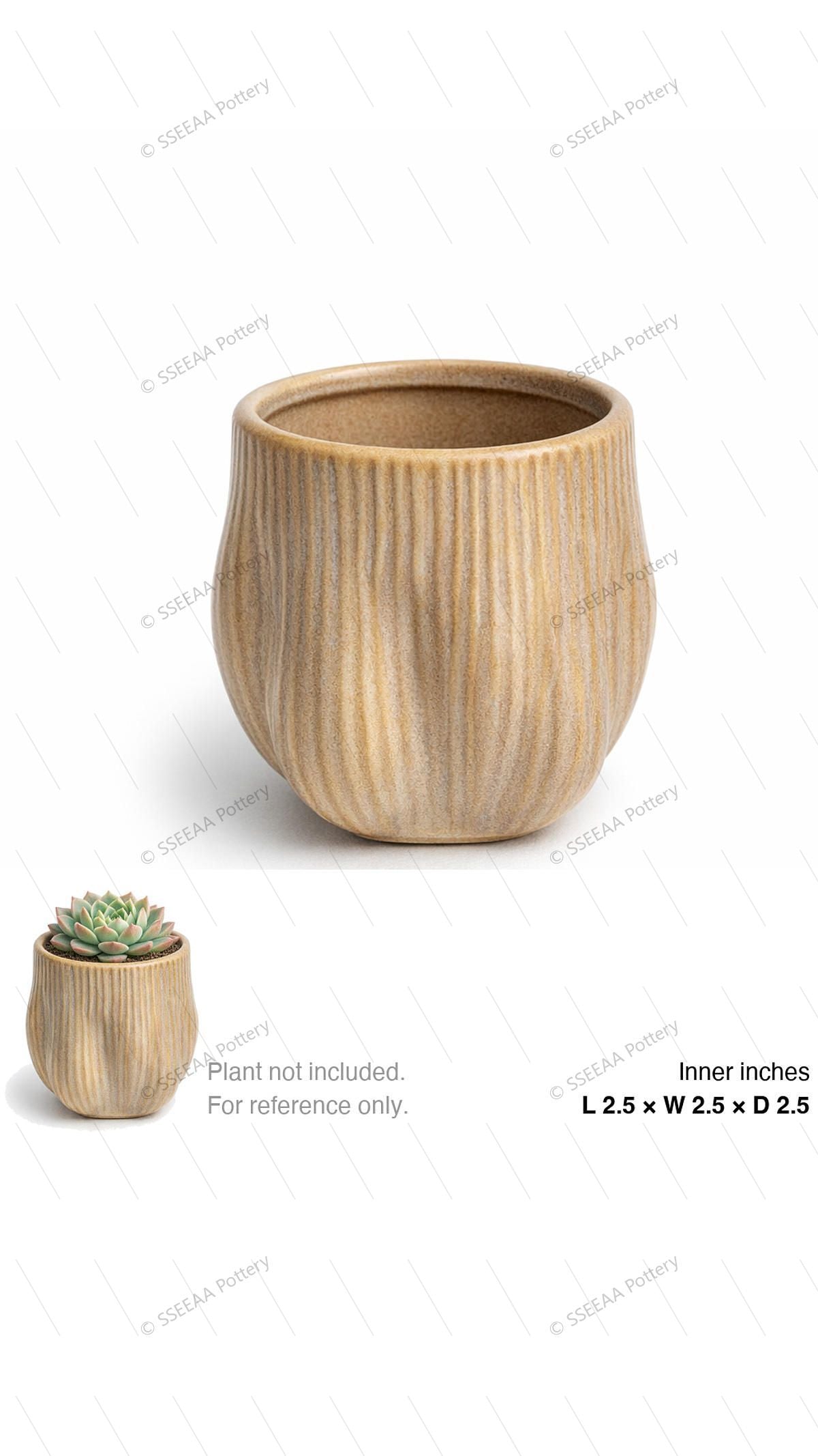 pottery_202601_scales_49x2 · L2.5 W2.5 H2.5