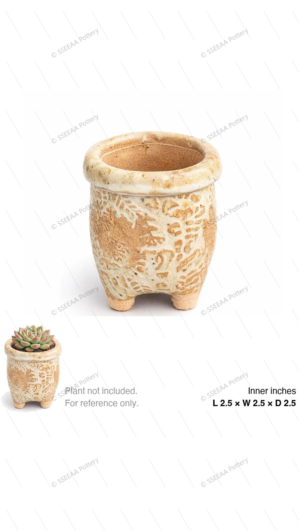 pottery_202601_texture_65 · L2.5 W2.5 H2.5