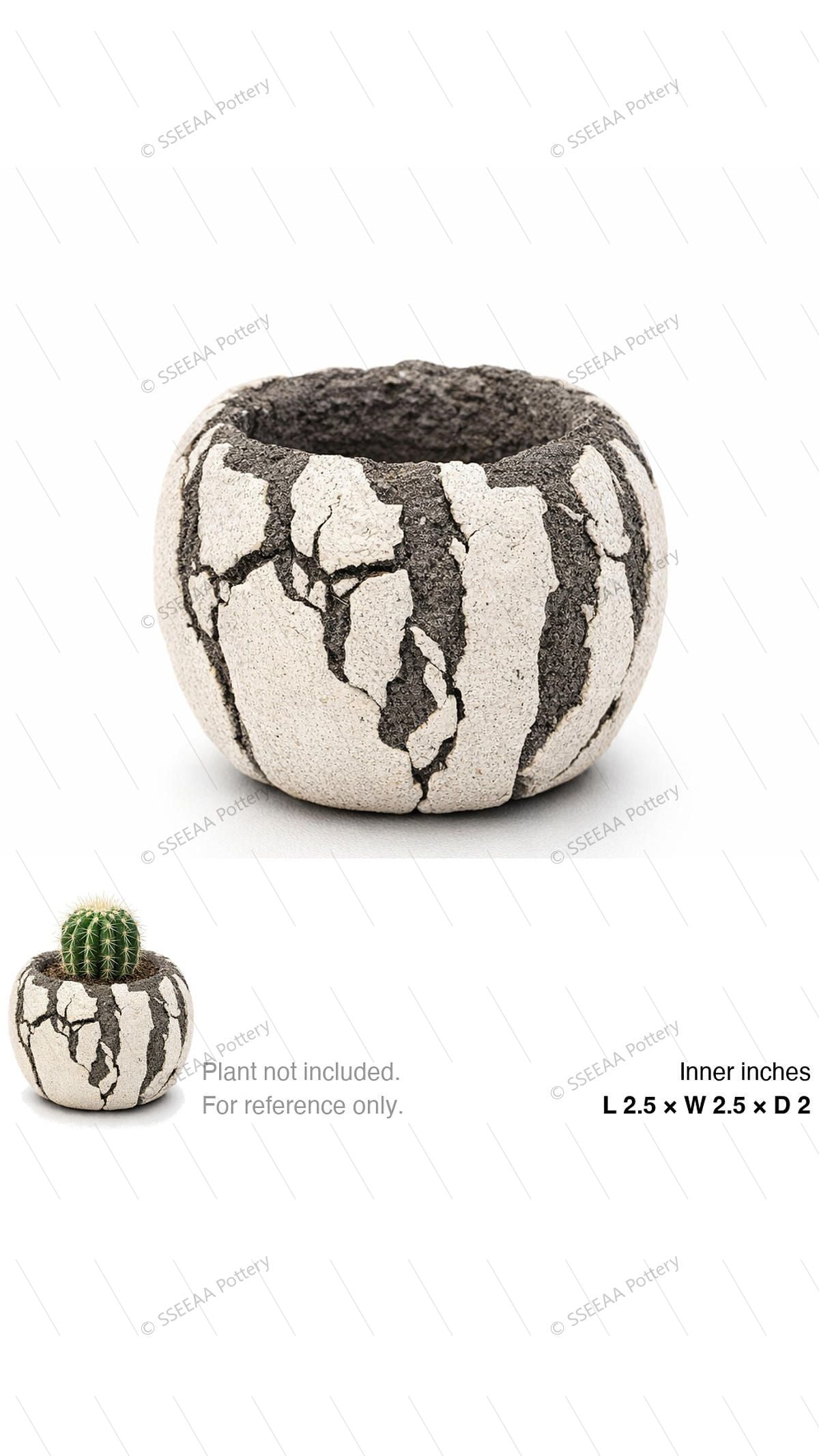 pottery_202603_burst_69 · L2.5 W2.5 H2