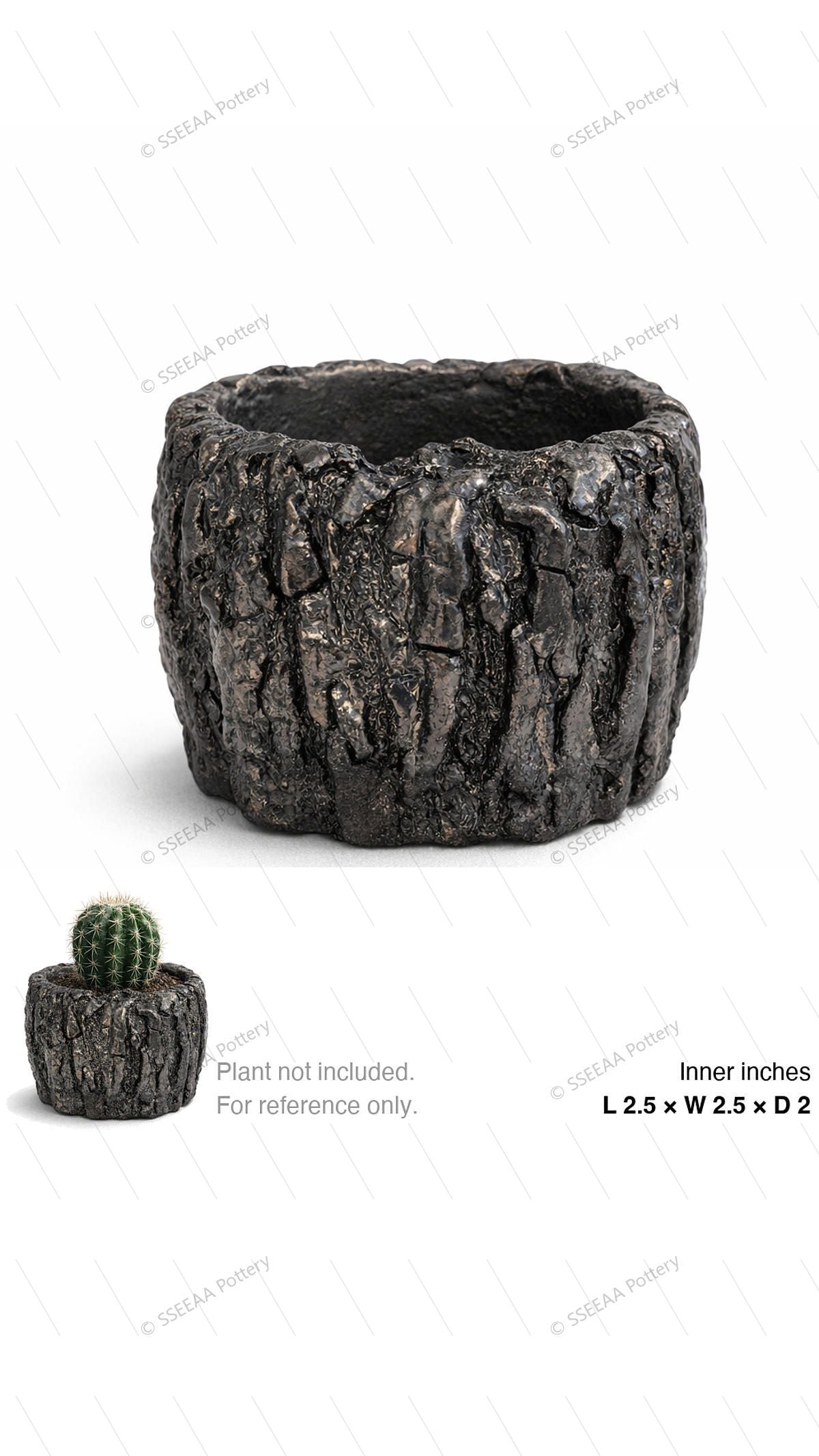 pottery_202603_rock_5 · L2.5 W2.5 H2