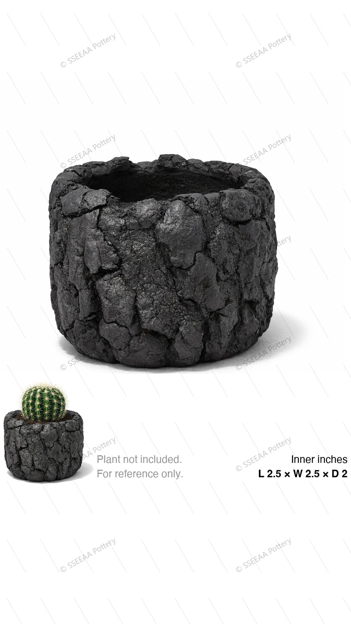 pottery_202603_rock_7 · L2.5 W2.5 H2