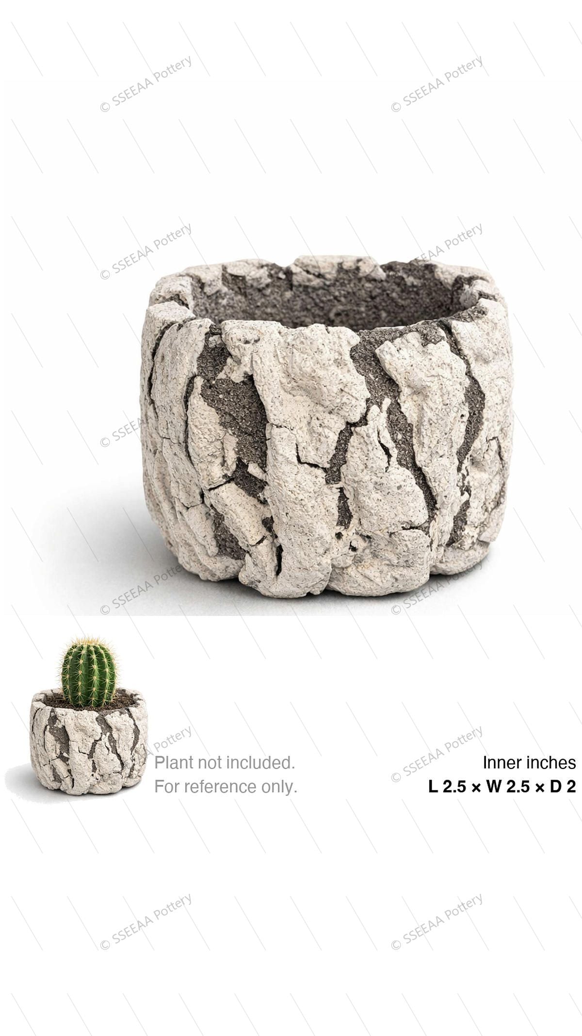 pottery_202603_rock_6 · L2.5 W2.5 H2