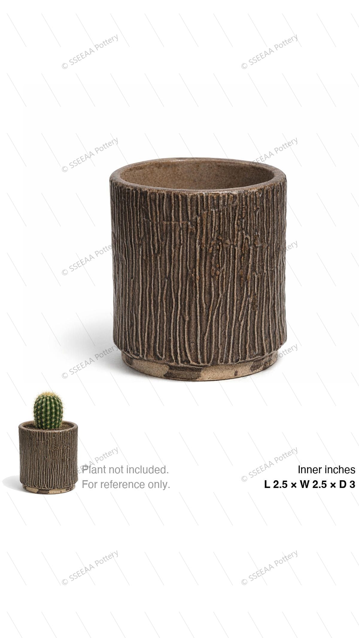 pottery_202604_forest_52 · L2.5 W2.5 H3