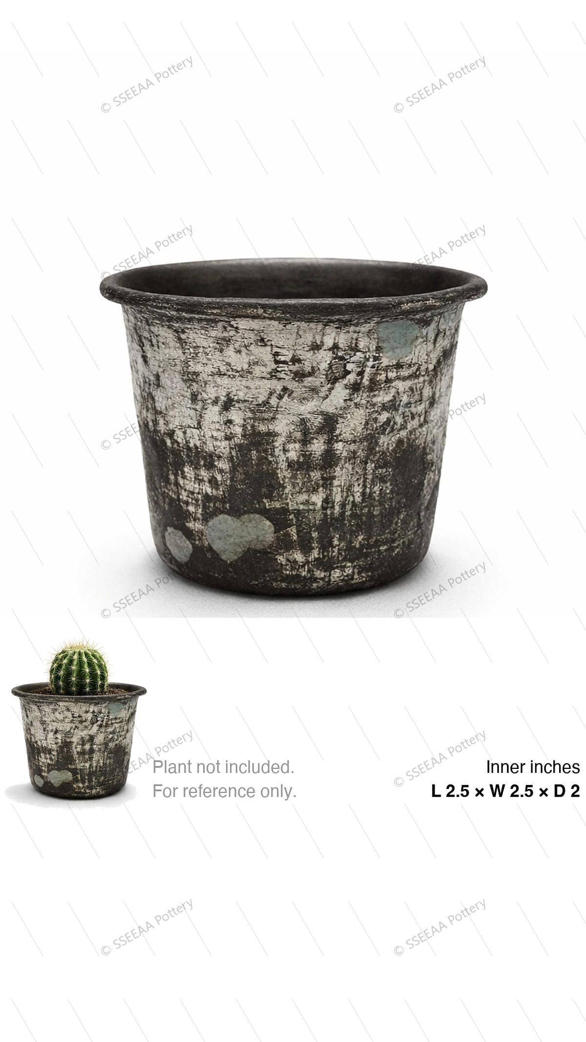 pottery_202604_rock_30 · L2.5 W2.5 H2