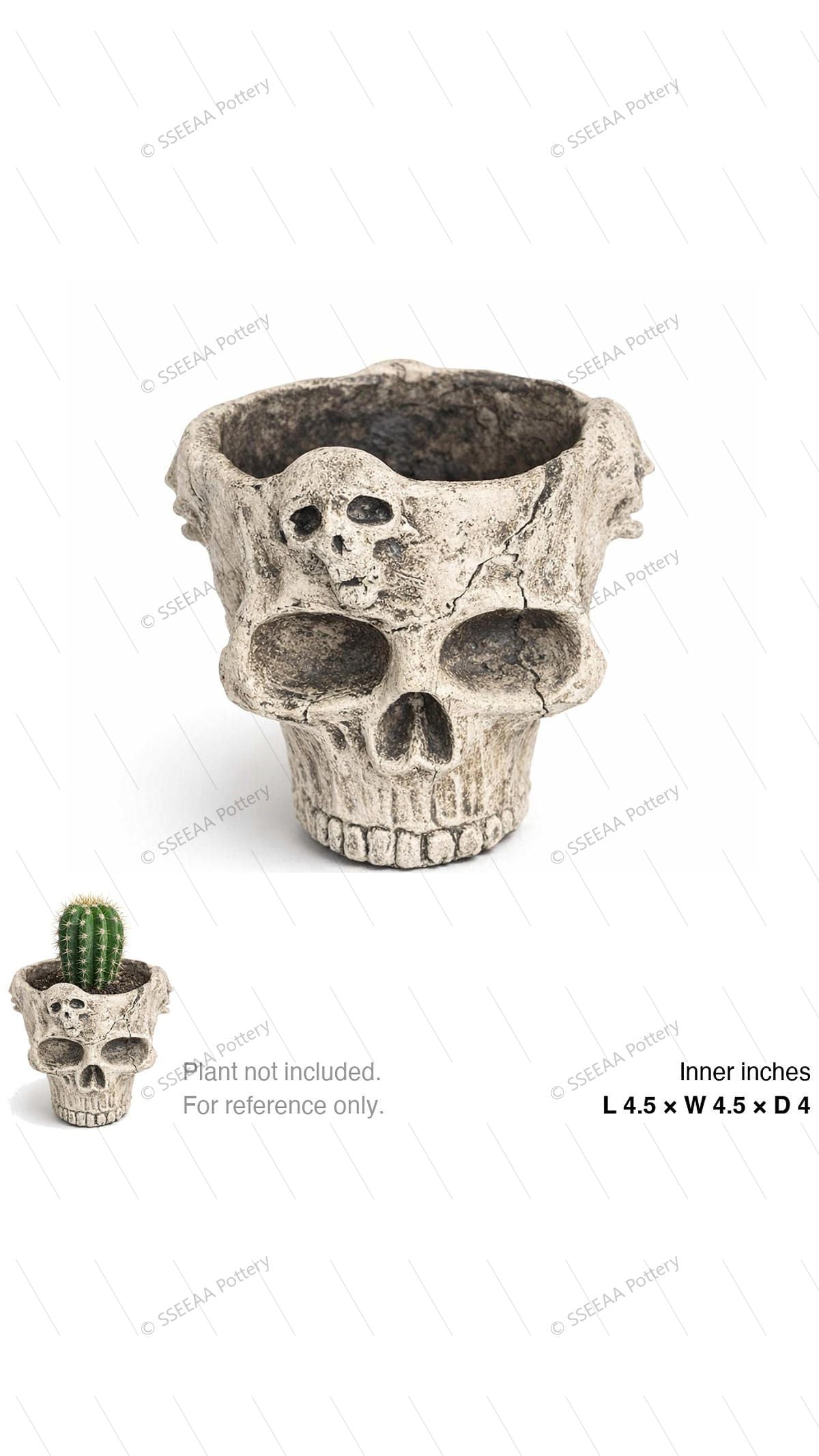 Bone-white skull-shaped decorative pot with weathered finish and open top.